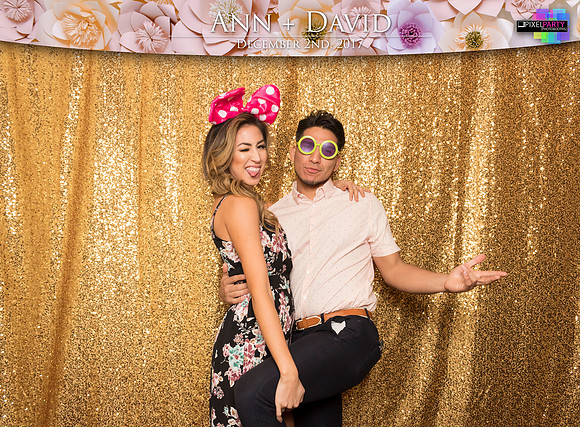 60074 - Ann + David Wedding Photobooth 2017