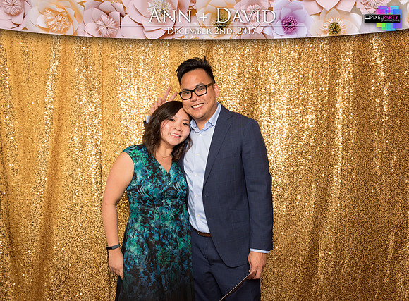 60121 - Ann + David Wedding Photobooth 2017