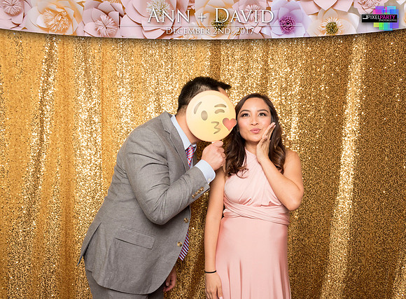60213 - Ann + David Wedding Photobooth 2017