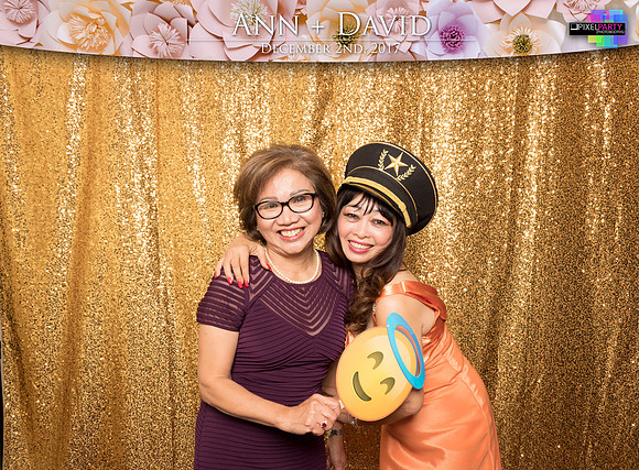 60124 - Ann + David Wedding Photobooth 2017
