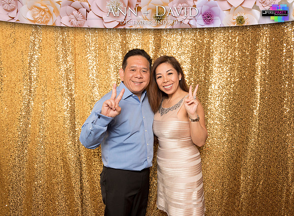 60274 - Ann + David Wedding Photobooth 2017