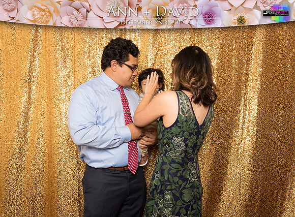 60195 - Ann + David Wedding Photobooth 2017
