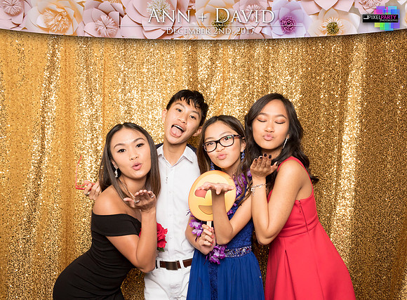 60226 - Ann + David Wedding Photobooth 2017