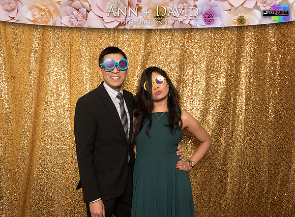 60053 - Ann + David Wedding Photobooth 2017