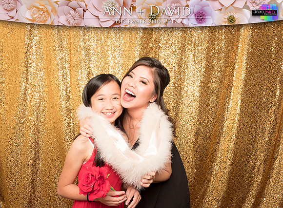 60360 - Ann + David Wedding Photobooth 2017