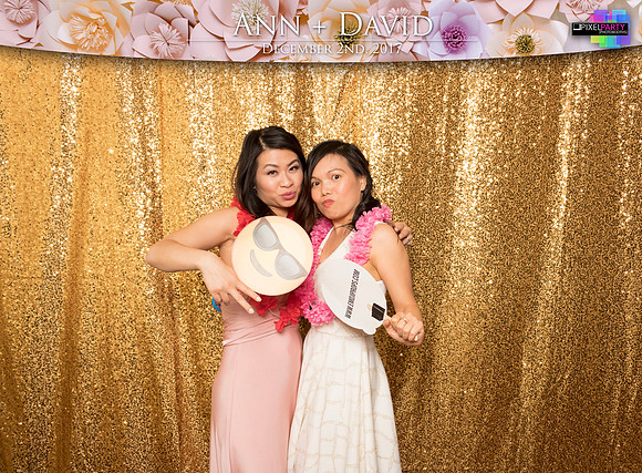 60283 - Ann + David Wedding Photobooth 2017