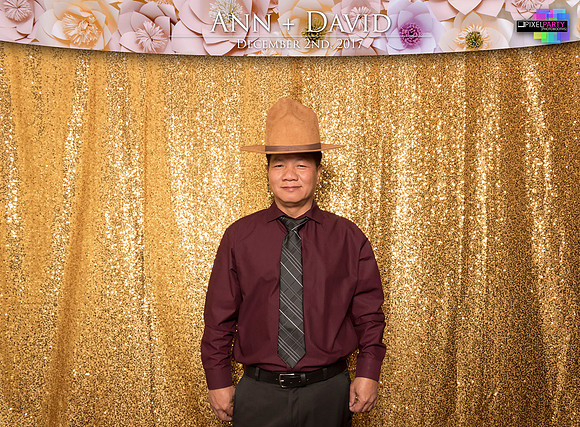 60115 - Ann + David Wedding Photobooth 2017