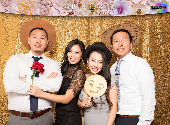 60311 - Ann + David Wedding Photobooth 2017