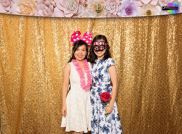 60089 - Ann + David Wedding Photobooth 2017