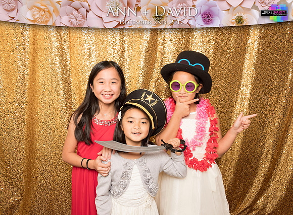 60399 - Ann + David Wedding Photobooth 2017