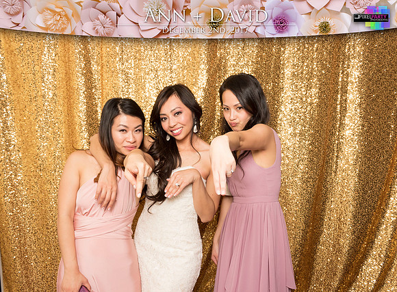 60558 - Ann + David Wedding Photobooth 2017