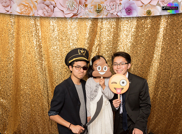 60417 - Ann + David Wedding Photobooth 2017