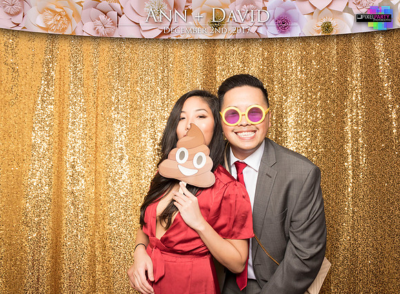 60507 - Ann + David Wedding Photobooth 2017