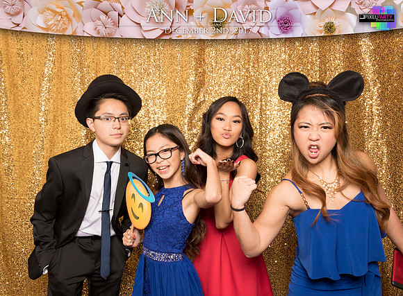 60142 - Ann + David Wedding Photobooth 2017