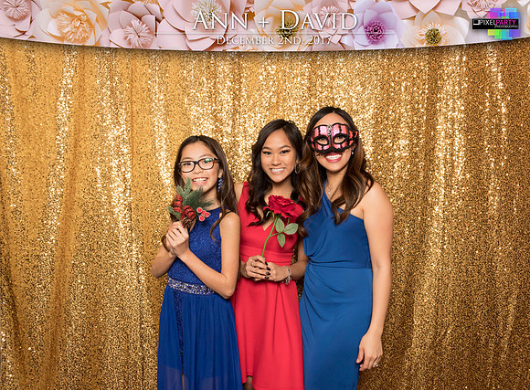 60128 - Ann + David Wedding Photobooth 2017