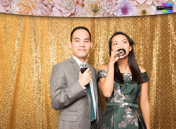 60412 - Ann + David Wedding Photobooth 2017