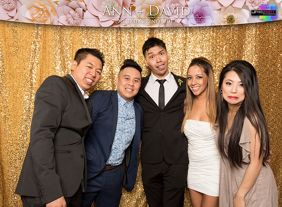 60184 - Ann + David Wedding Photobooth 2017