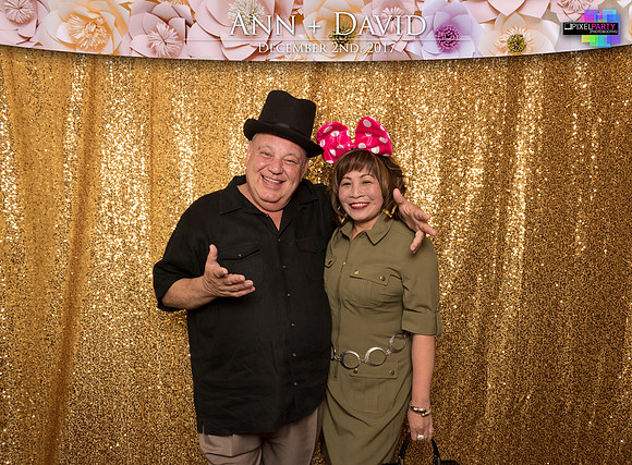 60052 - Ann + David Wedding Photobooth 2017