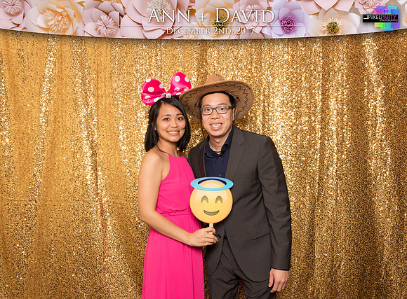 60146 - Ann + David Wedding Photobooth 2017