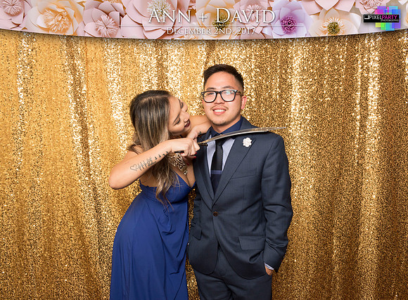 60474 - Ann + David Wedding Photobooth 2017