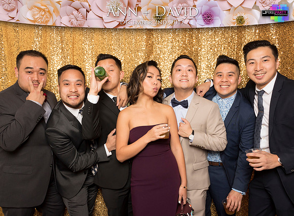 60117 - Ann + David Wedding Photobooth 2017