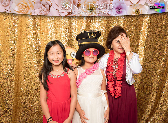 60389 - Ann + David Wedding Photobooth 2017