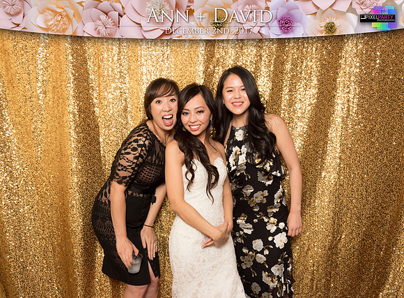 60528 - Ann + David Wedding Photobooth 2017