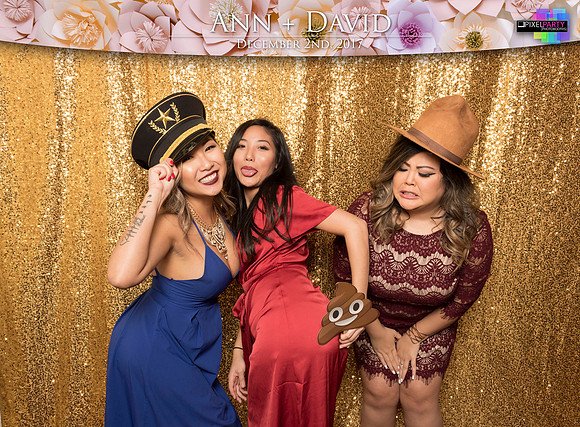 60301 - Ann + David Wedding Photobooth 2017