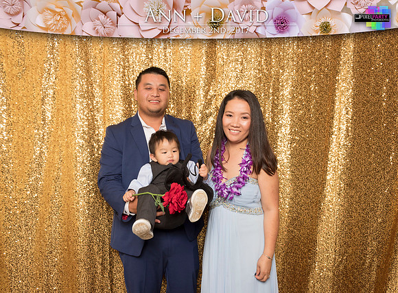 60260 - Ann + David Wedding Photobooth 2017