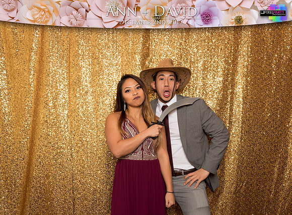 60061 - Ann + David Wedding Photobooth 2017