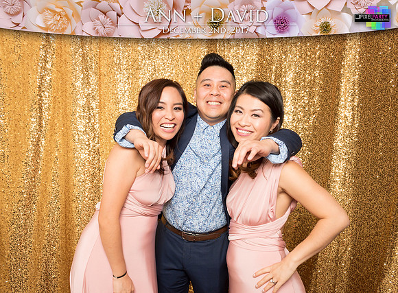 60210 - Ann + David Wedding Photobooth 2017