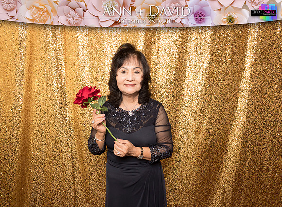 60421 - Ann + David Wedding Photobooth 2017