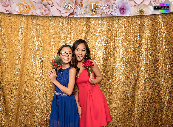 60127 - Ann + David Wedding Photobooth 2017