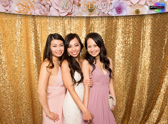 60554 - Ann + David Wedding Photobooth 2017