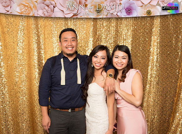 60542 - Ann + David Wedding Photobooth 2017