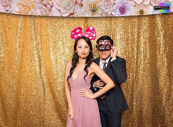60139 - Ann + David Wedding Photobooth 2017