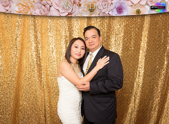 60387 - Ann + David Wedding Photobooth 2017