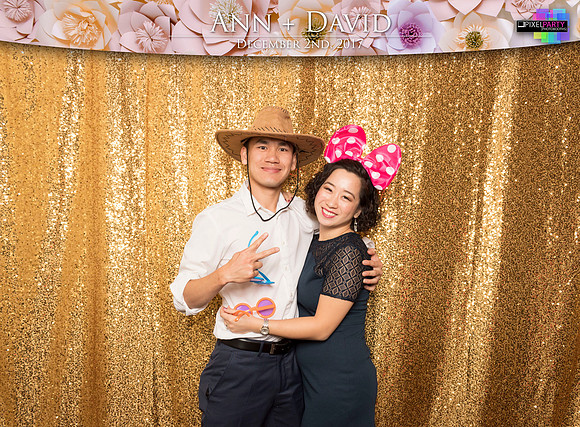 60245 - Ann + David Wedding Photobooth 2017