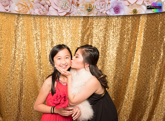 60361 - Ann + David Wedding Photobooth 2017