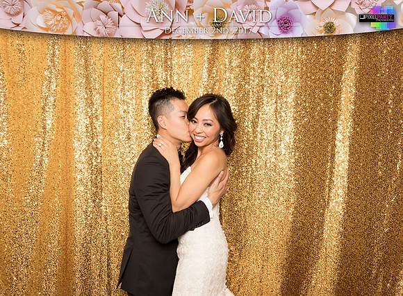 60241 - Ann + David Wedding Photobooth 2017