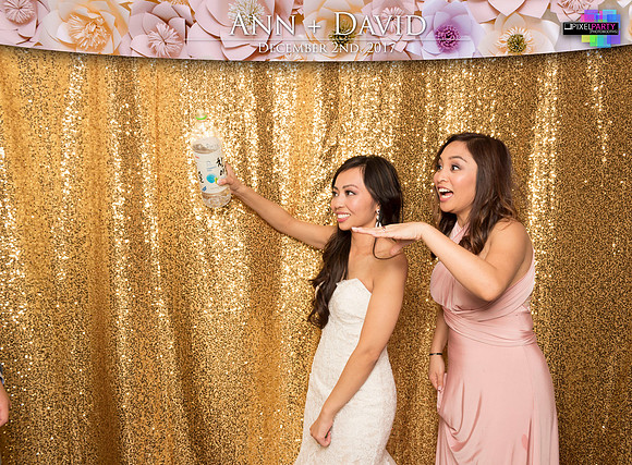 60536 - Ann + David Wedding Photobooth 2017