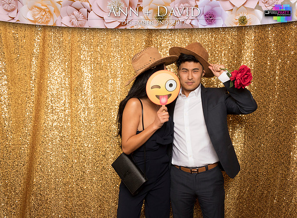 60070 - Ann + David Wedding Photobooth 2017