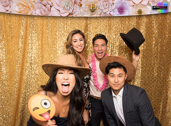 60072 - Ann + David Wedding Photobooth 2017