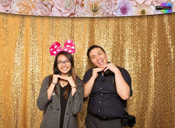 60510 - Ann + David Wedding Photobooth 2017