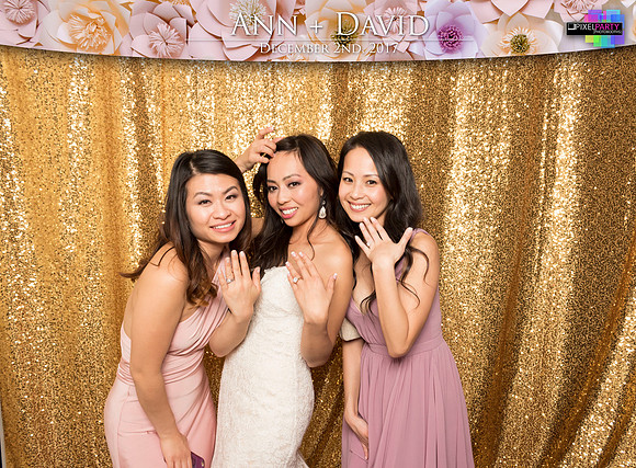 60557 - Ann + David Wedding Photobooth 2017