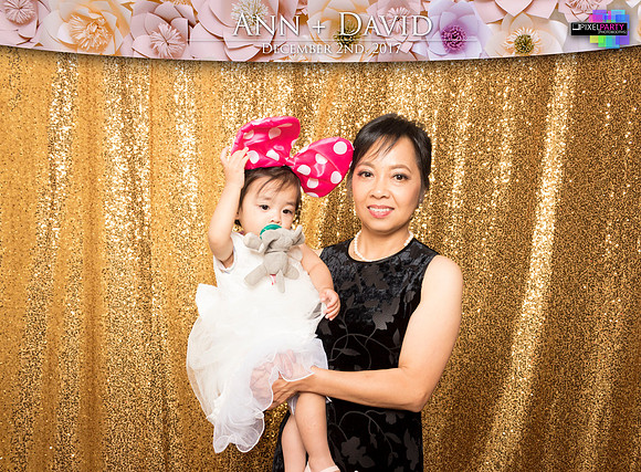 60334 - Ann + David Wedding Photobooth 2017