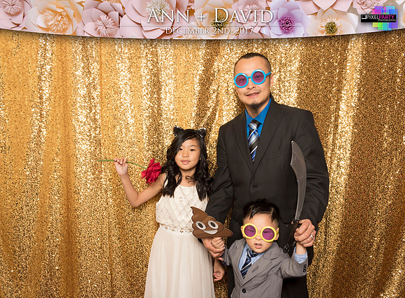 60243 - Ann + David Wedding Photobooth 2017