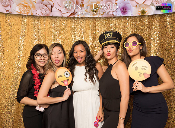 60270 - Ann + David Wedding Photobooth 2017