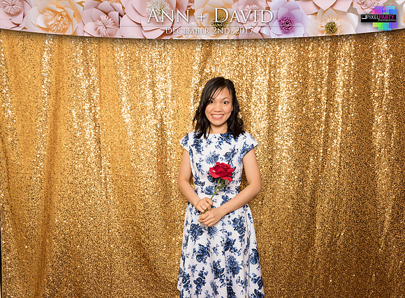 60092 - Ann + David Wedding Photobooth 2017
