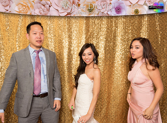 60534 - Ann + David Wedding Photobooth 2017